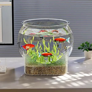 Clear Round Desktop Aquarium Resistant Falling Multifunctional Decor