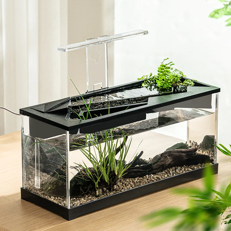 Small Acrylic Desk Aquarium Starter Kit with Filter and Air Pump